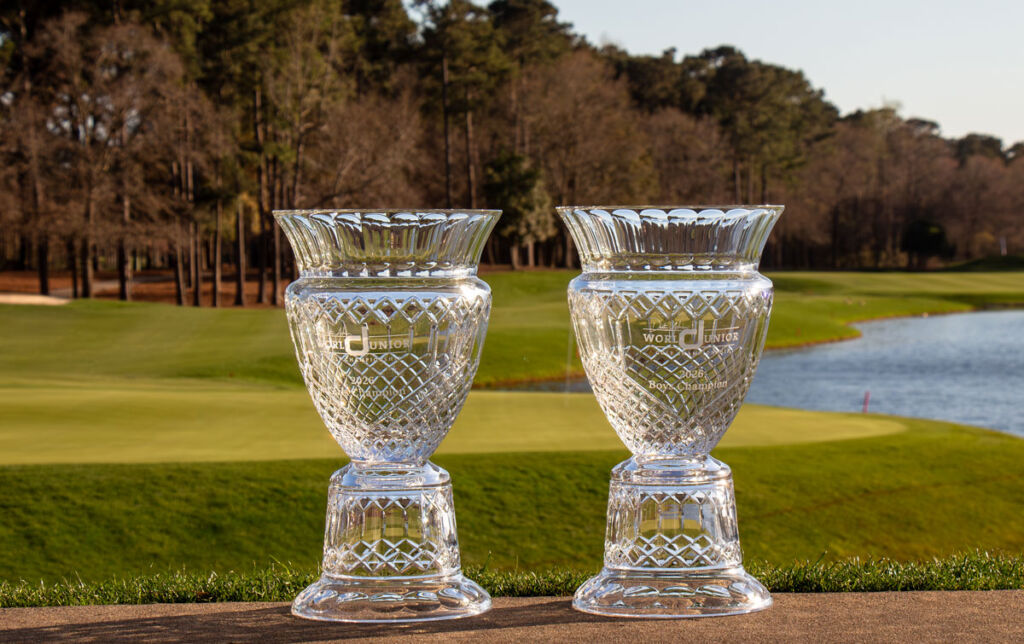 Champions were crowned Sunday at the Dustin Johnson World Junior Golf Championship, as William Lisle and Fay Jia emerged victorious following three days of competition at TPC Myrtle Beach.